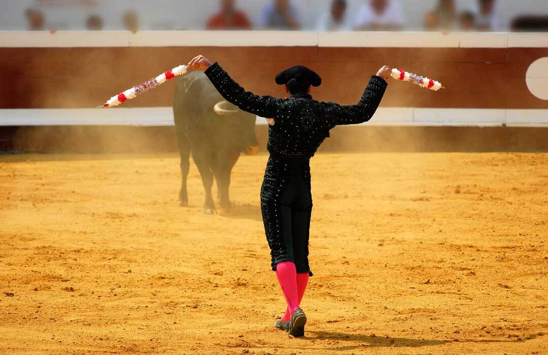 Corrida Tradition Emblematique Landes