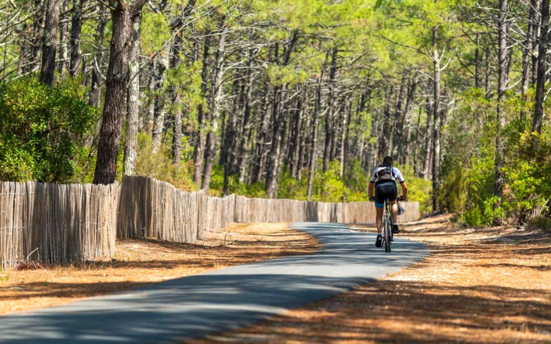 Parcourir la Vélodyssée dans les Landes