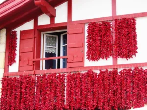 Traditionelles Trocknen Von Roten Espelette-Paprika-Zöpfen S