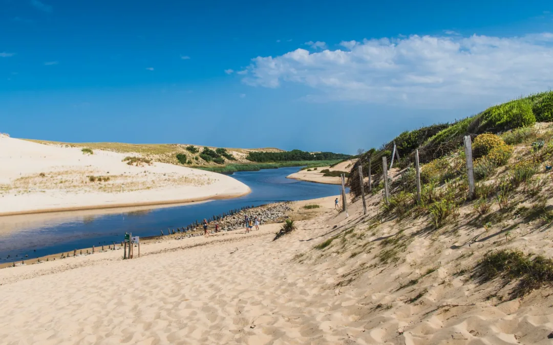 Randonnée Landes – Découvrez la nature près de Moliets-et-Maa