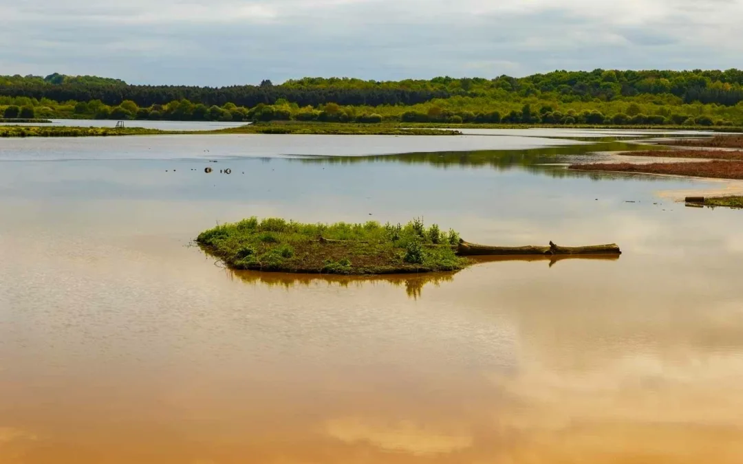 Marais d’Orx nature reserve