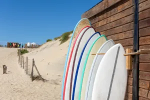 Biscarrosse (Landas, Francia)